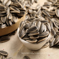 2019 new crop chinese sunflower seeds type 361 inner mongolia factory big size